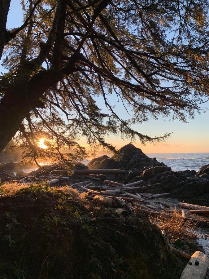 Lucky Creek Guest Suite Ucluelet Bagian luar foto